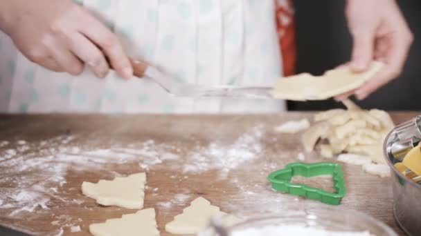 Passo Dopo Passo Cottura Stagione Festa Cuocere Biscotti Zucchero Natale — Video Stock