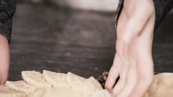 Preparación Costras Pastel Para Mini Pasteles Calabaza — Vídeo de stock