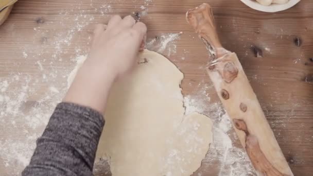 Passo Dopo Passo Cottura Stagione Festa Cuocere Biscotti Zucchero Natale — Video Stock