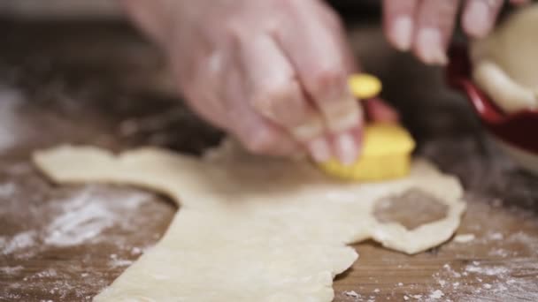 Passo Passo Cozimento Época Férias Biscoitos Açúcar Para Natal — Vídeo de Stock