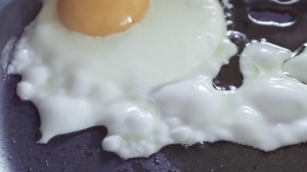 Memasak Sunny Side Telur Segar Pertanian Untuk Sarapan — Stok Video