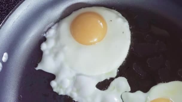 Cocinar Junto Sol Encima Granja Huevos Frescos Para Desayuno — Vídeos de Stock