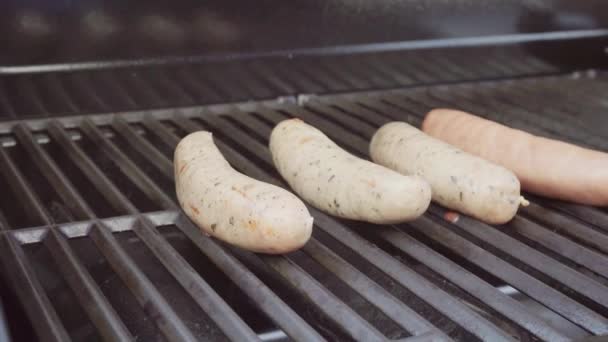 Hot dog e bratwurst — Video Stock