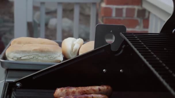 Hot dogs et bratwurst — Video