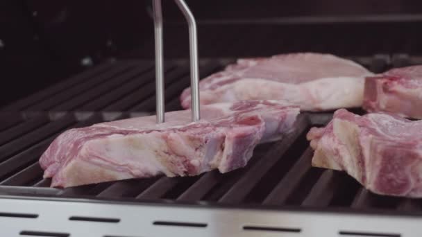 Costeletas de porco de cozinha — Vídeo de Stock