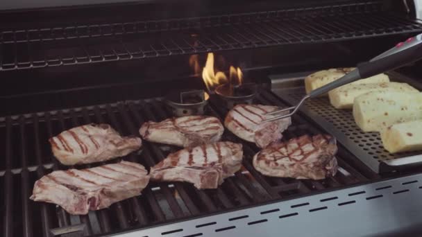 Costeletas de porco de cozinha — Vídeo de Stock