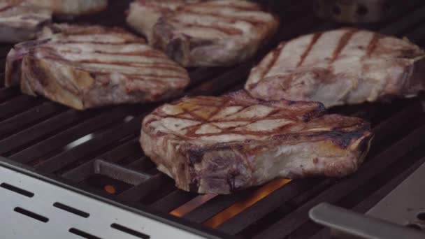 Schweinekoteletts kochen — Stockvideo