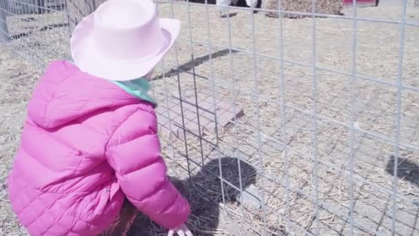 Маленькая Девочка Исследует Городскую Ферму — стоковое видео