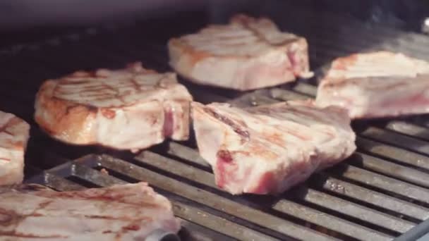 循序渐进 羊肉串烤肉用甜椒和黄色洋葱在户外燃气烧烤上煮鸡肉 — 图库视频影像