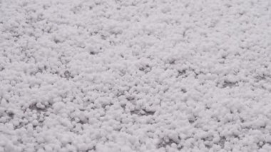 Erken ilkbaharda fırtına Selam olsun