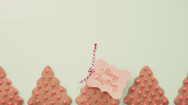 Geleneksel Yapımı Gingerbread Çerezleri Yiyecek Hediye Olarak — Stok video