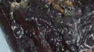 Küçük Gölet Bahçe Center'da küçük koi.