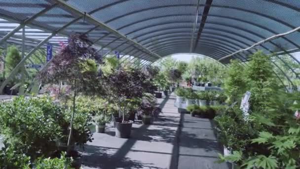 Planten Groene Huis Bij Tuincentrum — Stockvideo