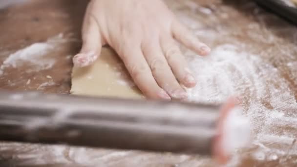 Passo Passo Cozimento Época Férias Biscoitos Açúcar Para Natal — Vídeo de Stock