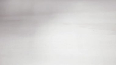 Çelik ve ahşap şişleri bir beyaz tahta arka plan boyalı.