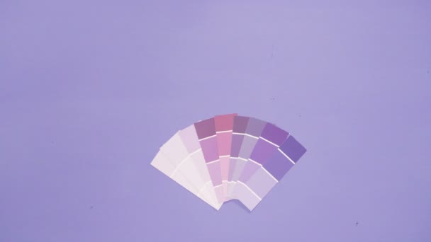 Фиолетовая краска — стоковое видео