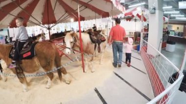 Sevişme hayvanat bahçesinde Batı stok Show