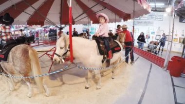 Sevişme hayvanat bahçesinde Batı stok Show