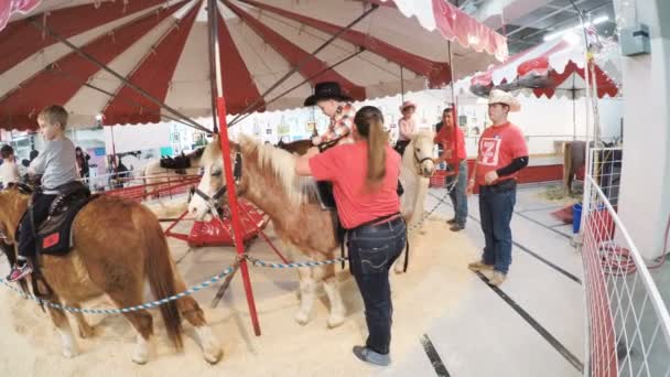 Zoo pour animaux domestiques au Western Stock Show — Video