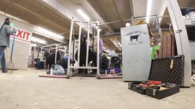 Sevişme hayvanat bahçesinde Batı stok Show