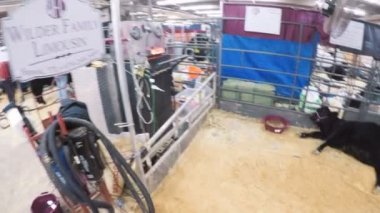 Sevişme hayvanat bahçesinde Batı stok Show