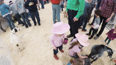 Sevişme hayvanat bahçesinde Batı stok Show