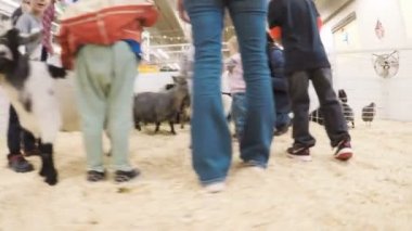 Sevişme hayvanat bahçesinde Batı stok Show