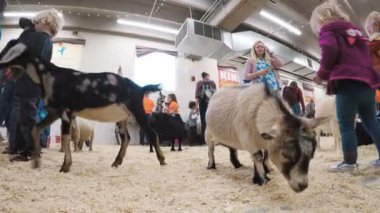 Sevişme hayvanat bahçesinde Batı stok Show