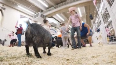 Sevişme hayvanat bahçesinde Batı stok Show