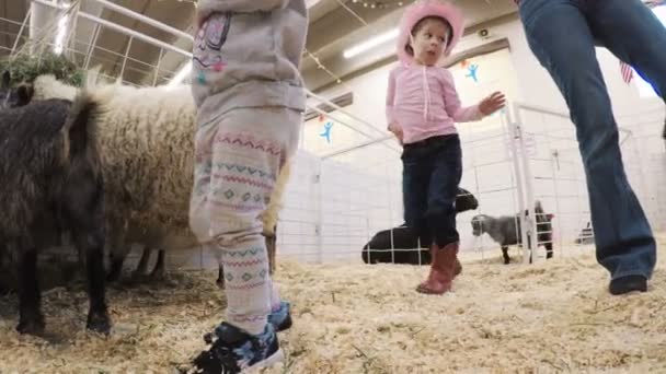 Petting zoo на Western Stock Show — стоковое видео