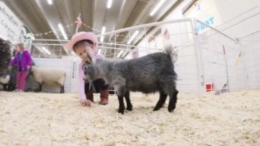 Sevişme hayvanat bahçesinde Batı stok Show