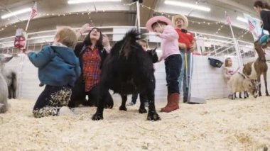 Sevişme hayvanat bahçesinde Batı stok Show