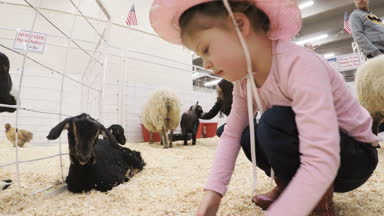 Sevişme hayvanat bahçesinde Batı stok Show