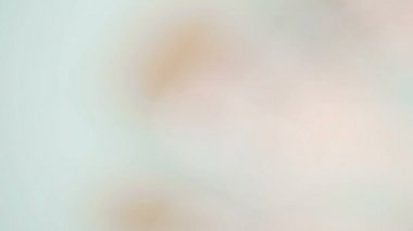 Boya Fırçası ve roller için ev boya projesi