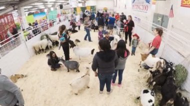 Sevişme hayvanat bahçesinde Batı stok Show