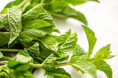 Bir beyaz tahta üzerinde organik çiftlik taze nane.