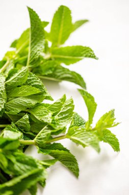 Bir beyaz tahta üzerinde organik çiftlik taze nane.