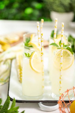 Taze limon ve nane ile kağıt saman cam bir dilim ile geleneksel limonata.