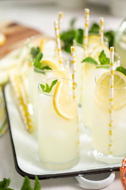 Taze limon ve nane ile kağıt saman cam bir dilim ile geleneksel limonata.