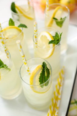 Taze limon ve nane ile kağıt saman cam bir dilim ile geleneksel limonata.