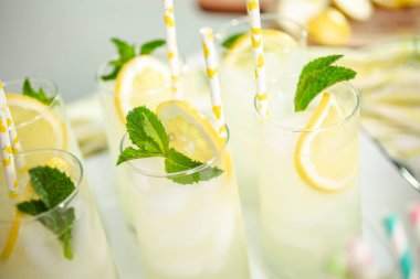 Taze limon ve nane ile kağıt saman cam bir dilim ile geleneksel limonata.