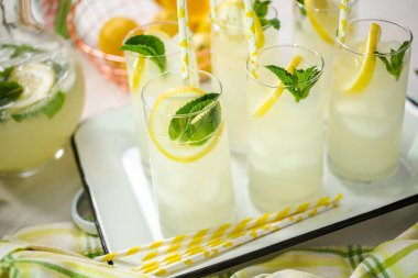 Taze limon ve nane ile kağıt saman cam bir dilim ile geleneksel limonata.