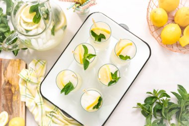 Taze limon ve nane ile kağıt saman cam bir dilim ile geleneksel limonata.