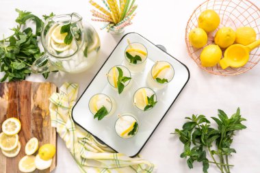 Taze limon ve nane ile kağıt saman cam bir dilim ile geleneksel limonata.