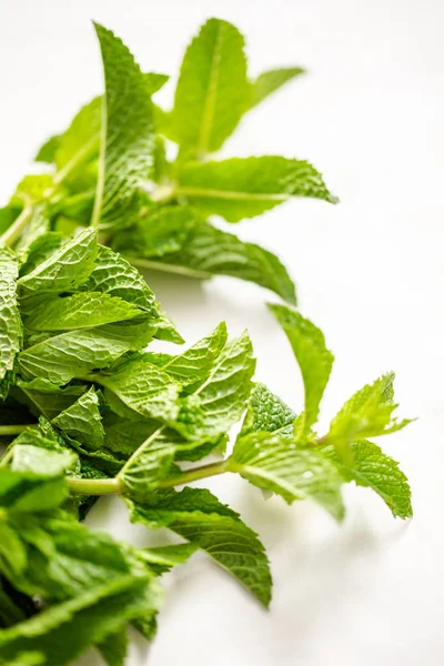 Bir beyaz tahta üzerinde organik çiftlik taze nane.