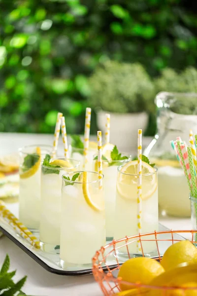 Taze limon ve nane ile kağıt saman cam bir dilim ile geleneksel limonata.