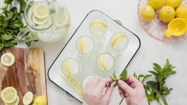 Geleneksel limonata taze dilimlenmiş limon ve nane ile süsleme.