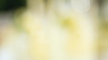 Adım adım. Bir dilim taze limon ve nane ile geleneksel limonata 