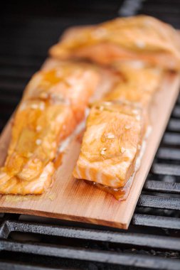 Sedir tahta açık gaz ızgara somon ızgara.