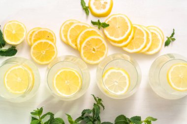 Taze limonata ile süslenmiş bir içme bardaklarda limon ve nane dilimlenmiş.